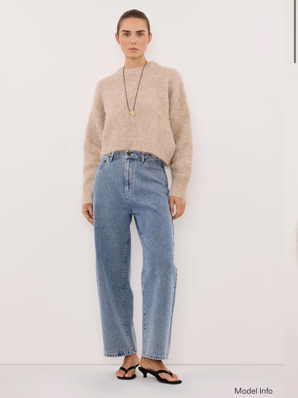 NWT DISSH Salma Oat Tuck Sleeve Jumper